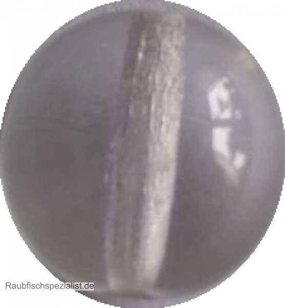 Texas / Carolina  Glasperlen 8 mm round Bead clear  10 Stück